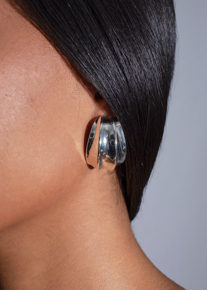 Radiant Crest Earrings Silver