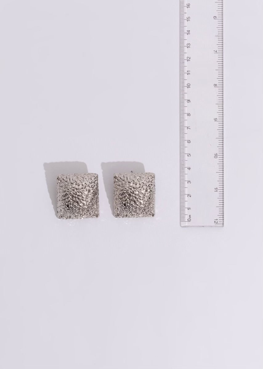 Dinner In The City Earrings Silver