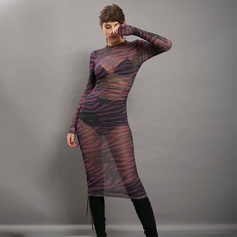 Mesh Printed Pleating Dress